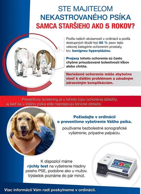 Infografika o diagnostike srdcových ochorení u psov