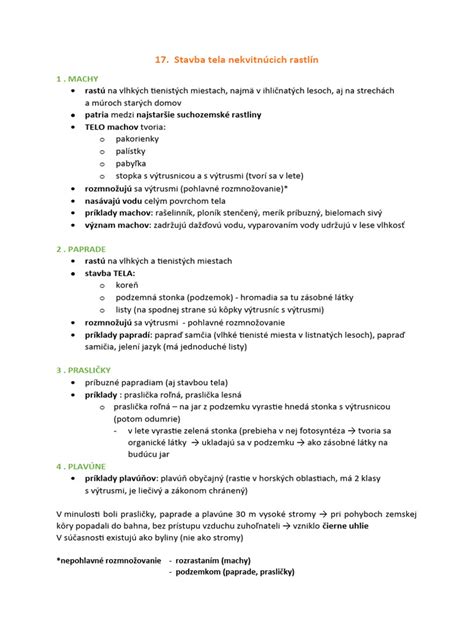 Štandardná stavba tela slovenského kopova