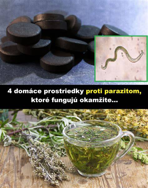 Infografika: Ako fungujú obojky proti parazitom a rozdiely medzi prírodnými a chemickými zložkami