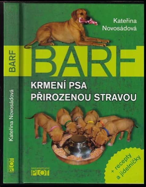 Ilustrácia psa s vyváženou stravou