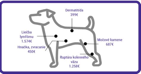 Infografika: Znaky blížiaceho sa konca u psa - prehľad fyzických aBehaviorálnych prejavov