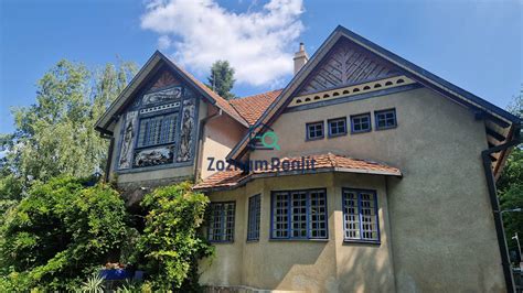 Galéria rôznych štýlov psích portrétov