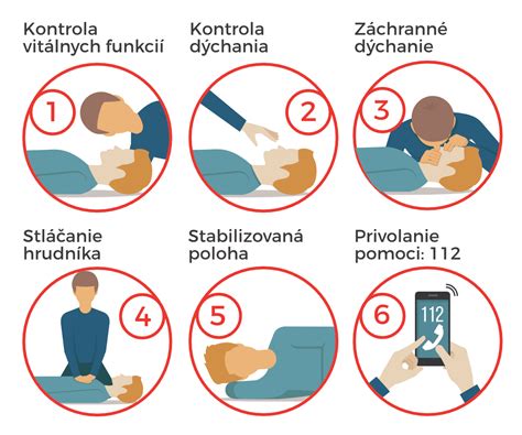 Infografika: Správny postup pri prvej pomoci psovi pri various ranách