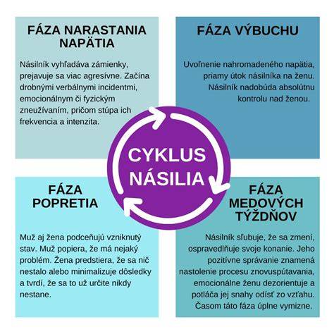 Infografika: Cyklus hárania sučky a 4 hlavné fázy