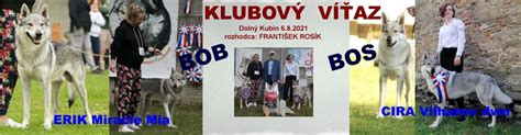 Ilustračný profil: pohyb a aktivita československého vlčiaka počas klusania