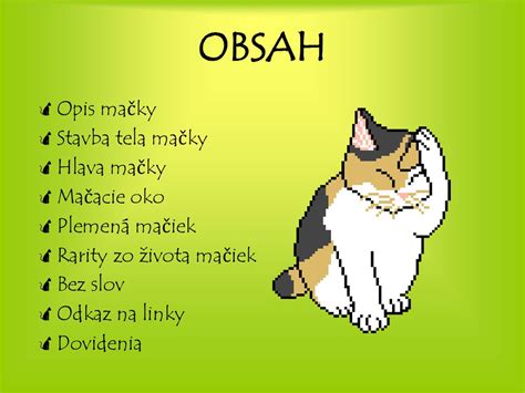 Anatomická stavba mačky