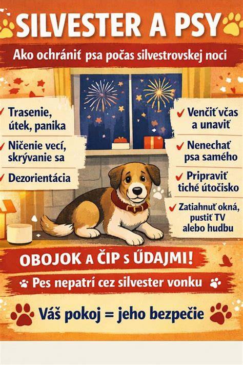 Infografika: Ako vybudovať bezpečné útočisko pre psa počas Silvestra