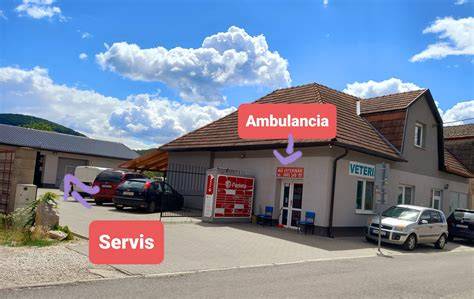 veterinárna starostlivosť a infúzia