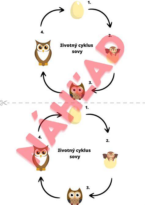 Infografika: Životný cyklus kliešťa a cesty prenosu chorôb