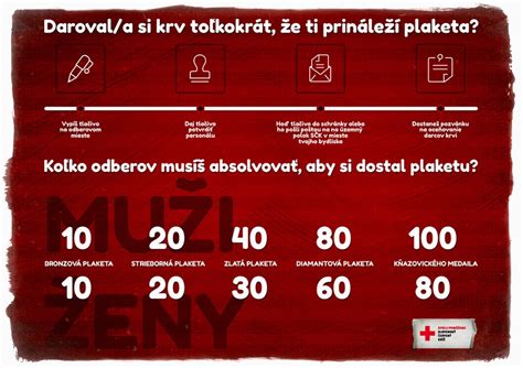 Infografika: Ako funguje darovanie krvi u psov (schéma procesu od registrácie po následnú regeneráciu)