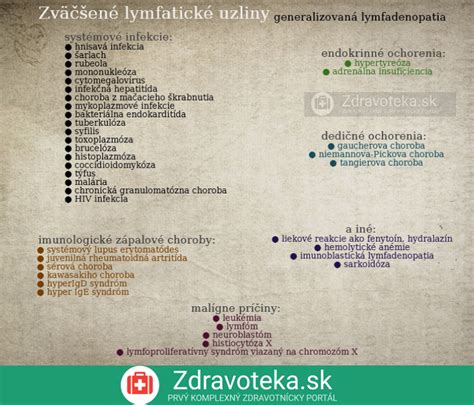 Infografika: Rozloženie lymfatických uzlín a imunitného systému psa