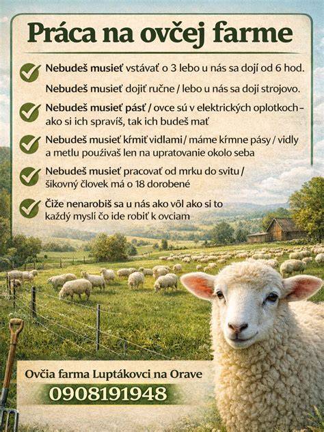 Infografika: Typy obojkov pre ovce a ich výhody
