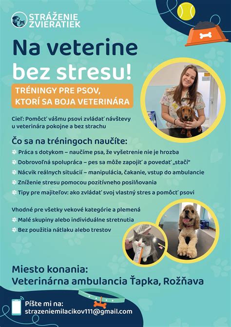 Ilustrácia psa u veterinára