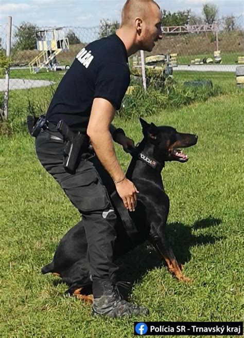 Policajný psovod s psom