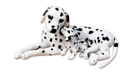 Bezpečné zoznámenie detí so šteniatkom