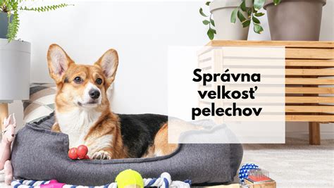 Ukážka ortopedického pelechu pre psa