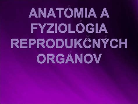Anatómia psích reprodukčných orgánov