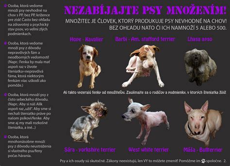 Porovnanie psa s PP a psa bez PP