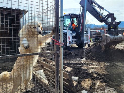 Výstavba kotercov v útulku pre psov