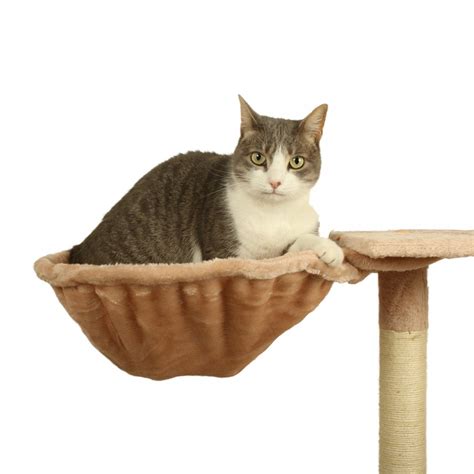 Ilustrácia rôznych typov pelechov pre mačky