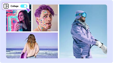 Koláž fotografií nemeckých dog rôznych farieb