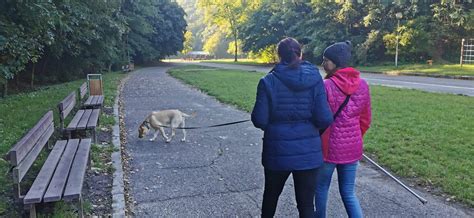 Pes s majiteľom pri prechádzke