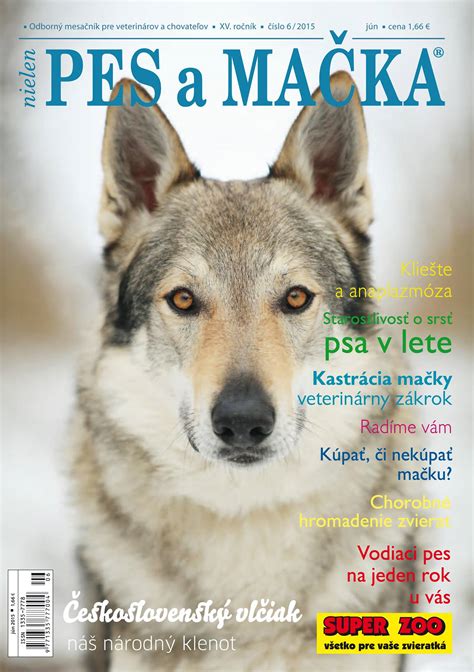 Pes v rôznych klimatických podmienkach
