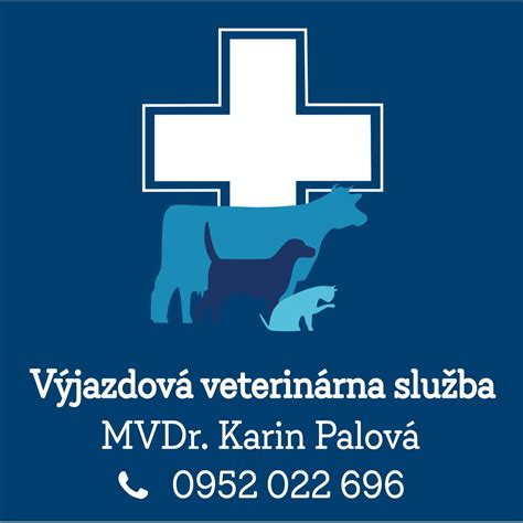 Veterinár vykonáva eutanáziu
