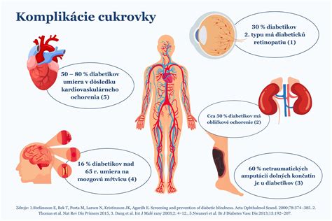 Infografika zobrazujúca proces diagnostiky cukrovky u psa