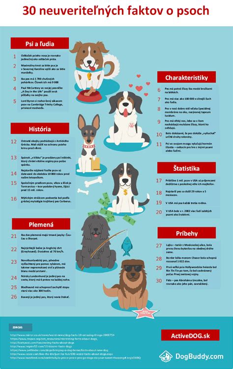 Infografika o zodpovednosti majiteľov psov