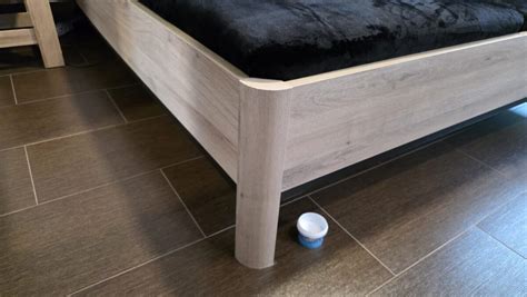 mačka skrývajúca sa pod posteľou