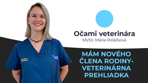 Veterinárna prehliadka čivavy