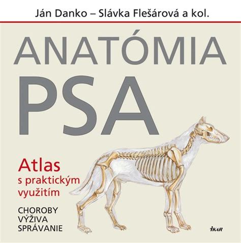 Anatómia psa s vyznačenými problémovými oblasťami
