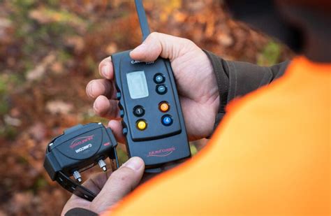 Ilustrácia psa s elektronickým výcvikovým obojkom