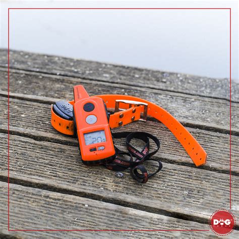 Schéma funkcií elektronického obojku Patpet 776