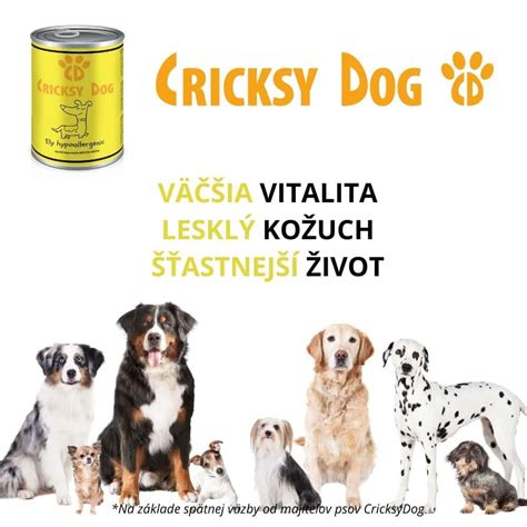 Zloženie vyváženej stravy pre psa