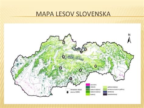 Mapa lesov s rôznymi druhmi zveri