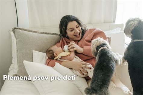 Schéma bezpečných zón v domácnosti pre deti a psov