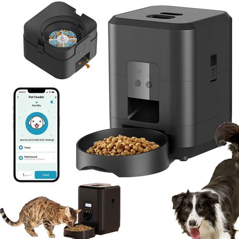 Obrázok psa s miskou kvalitného krmiva