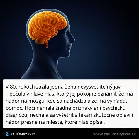 Ilustrácia psieho mozgu a čuchových receptorov