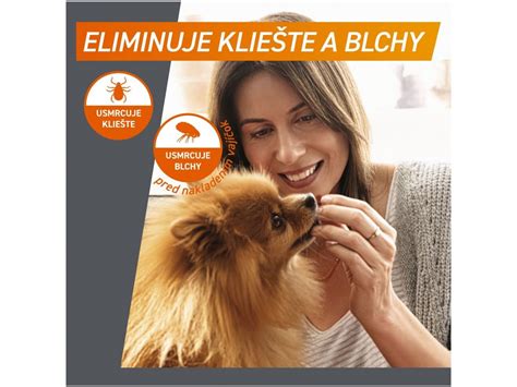 Ilustrácia kliešťa a blchy