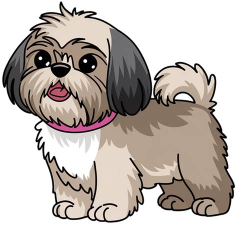 Pes a fenka Shih-tzu vedľa seba