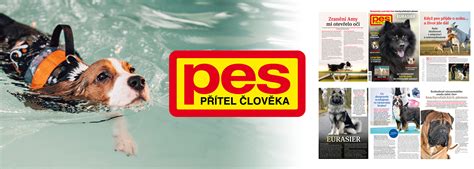 Pes pracuje s hlavolamom