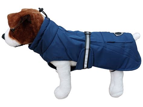 Ilustrácia psa s tradičnými čínskymi prvkami