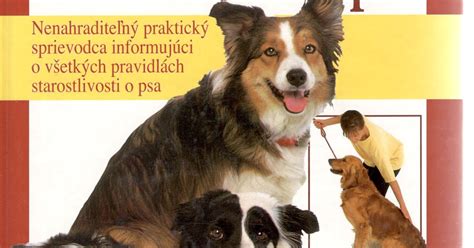Ilustrácia starostlivosti o virtuálneho psa