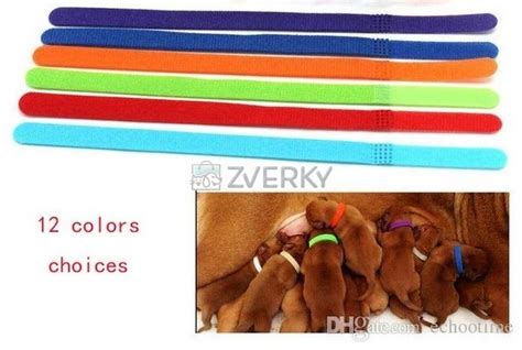 rozlišovacie obojky pre šteniatka