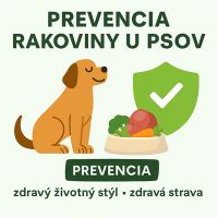 Infografika: Prevencia bakteriálnych infekcií u psov