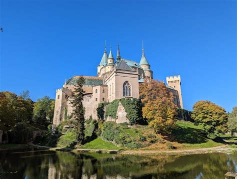 História rotvajlera a jeho pôvod