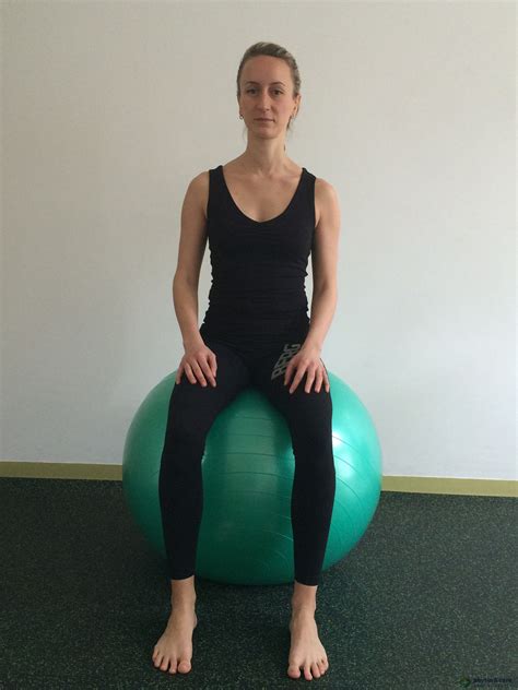 Pes cvičiaci na fit-lopte