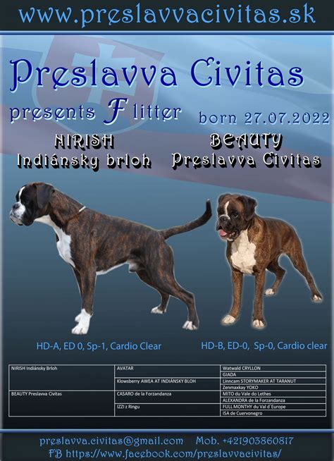 Kalendár výstav nemeckých boxerov